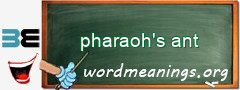 WordMeaning blackboard for pharaoh's ant